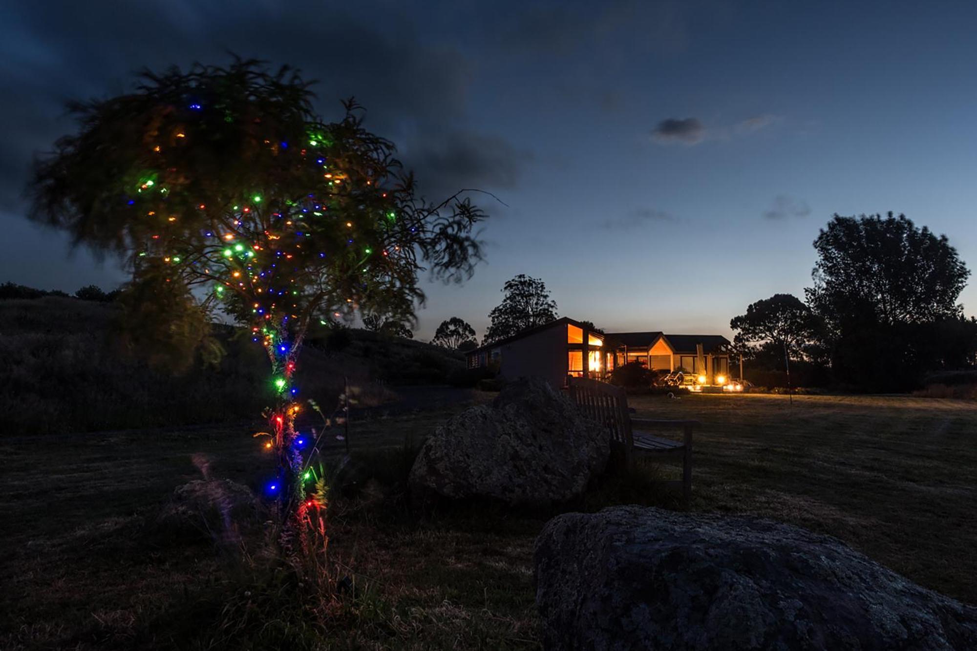 Astelia Lodge Horohoro Bagian luar foto