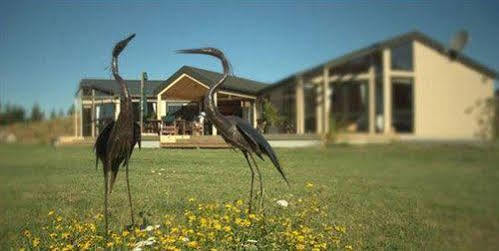 Astelia Lodge Horohoro Bagian luar foto